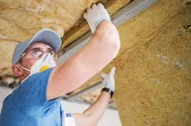 Types of Insulation We Offer in Geraldine, AL